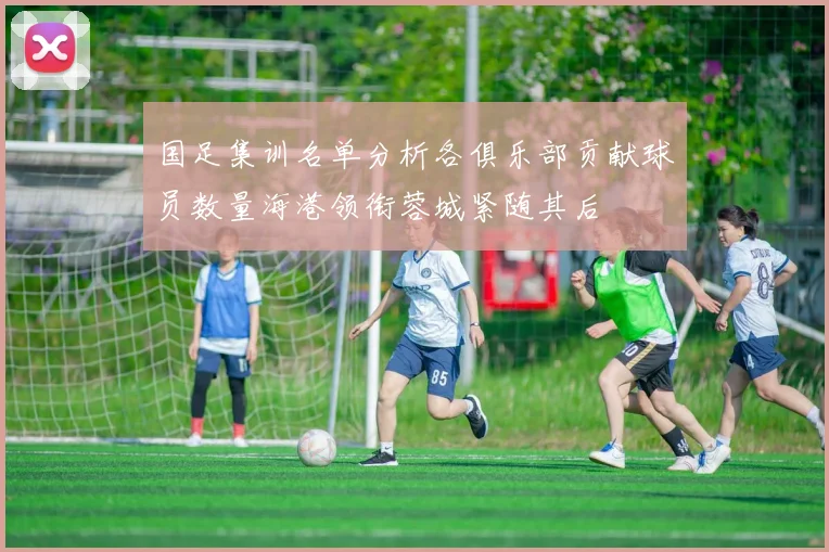 国足集训名单分析各俱乐部贡献球员数量海港领衔蓉城紧随其后